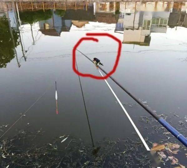 b585b604944f4f469127a12733d28104.jpeg