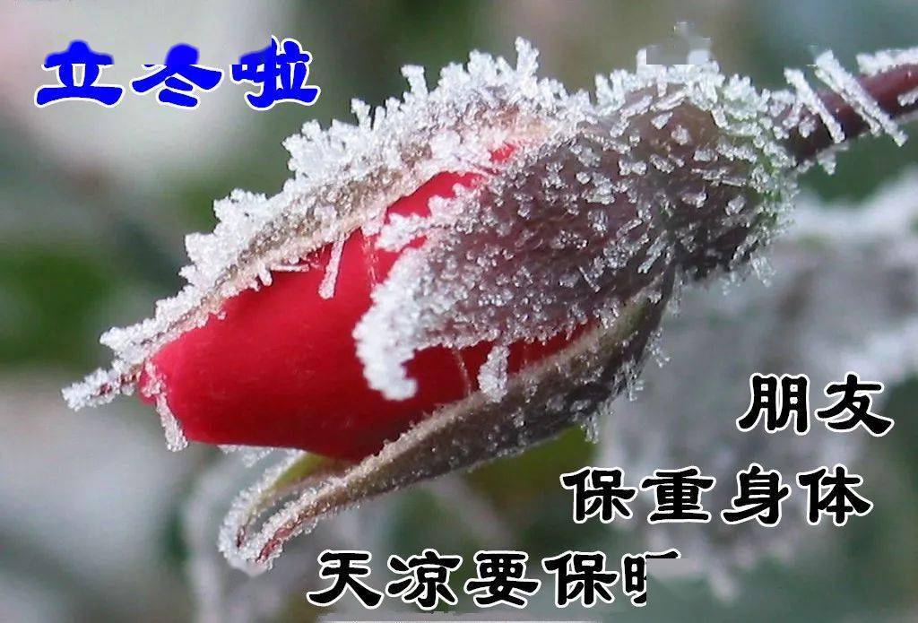 11月7日立冬最漂亮早上好动态表情图片大全,早晨好动图美图大全