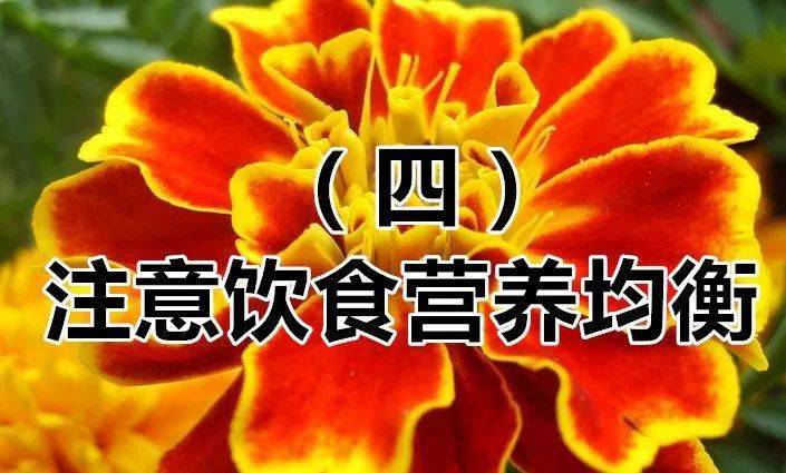 3663ab79d7644dbca7a36a35ea199928.jpeg