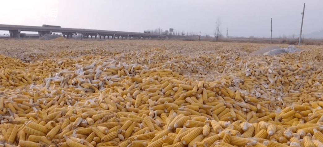 看图猜成语煮沸水农民晒谷_看图猜成语