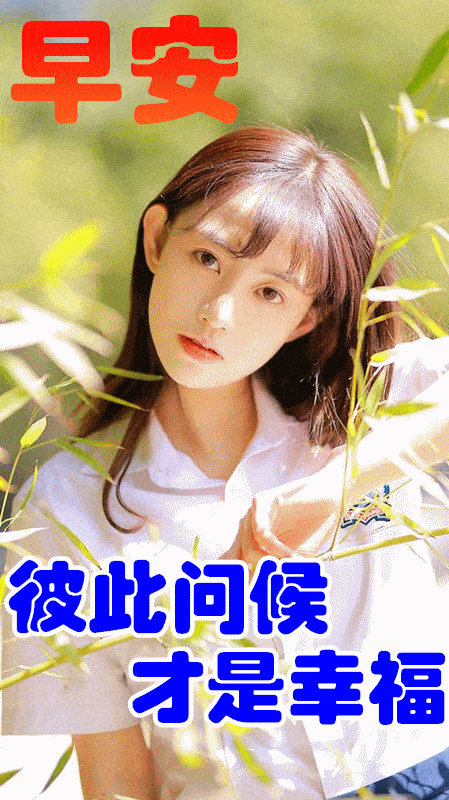 11月6日最漂亮早上好动态表情图片大全,早晨好动图美图大全