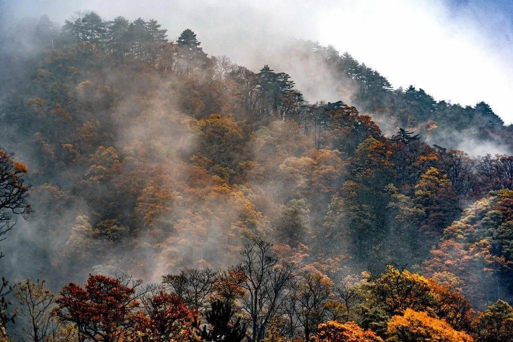 雨雾马鬃岭金寨深秋别有韵味