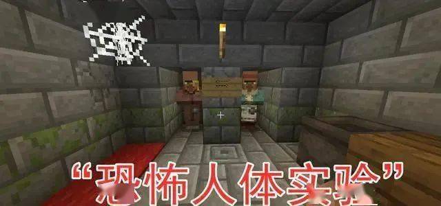 我的世界:雪屋下的"人体实验室",是him告知玩家的官方