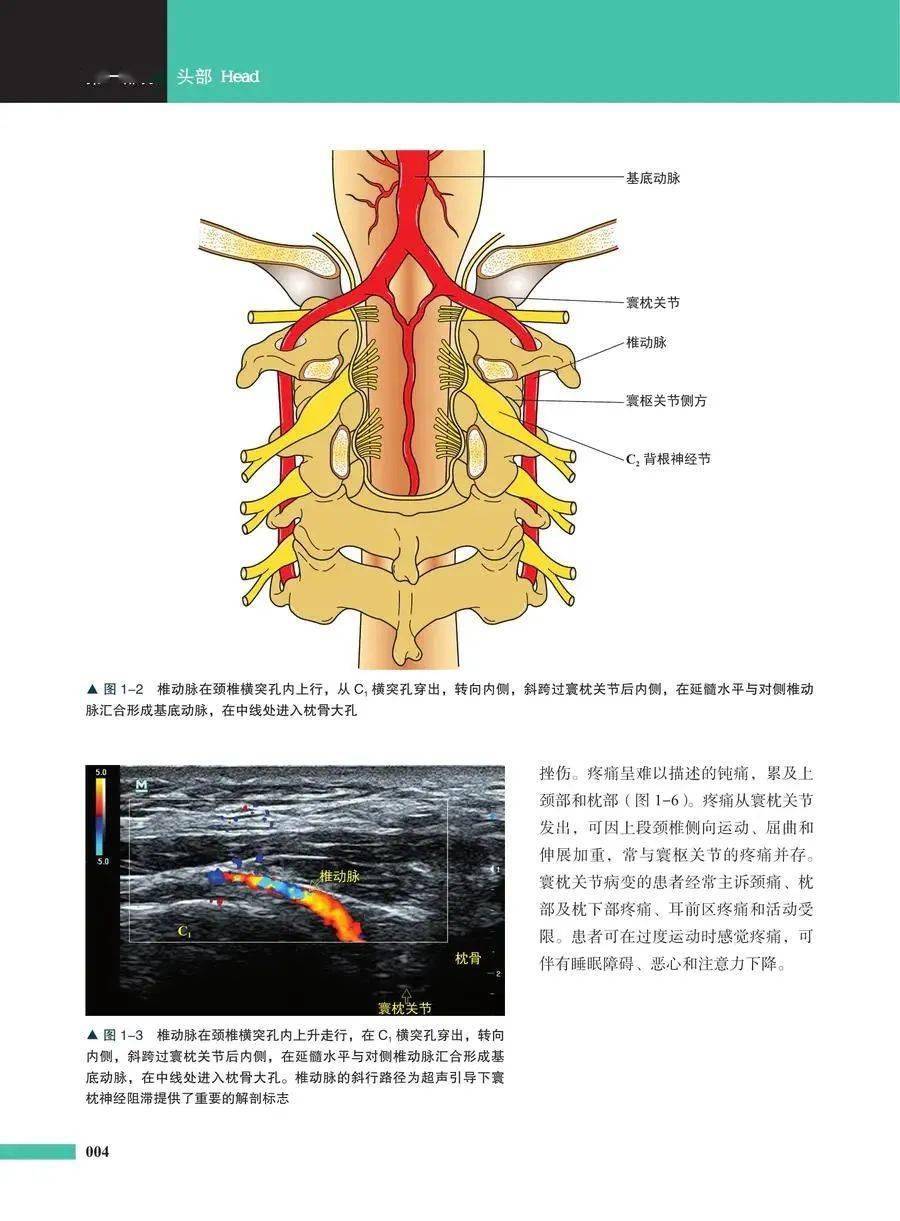 临床|双十一促销！中国科学技术出版社新书全场7折