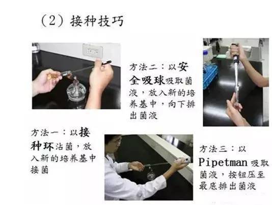 微生物检验的基本操作之无菌操作!_接种