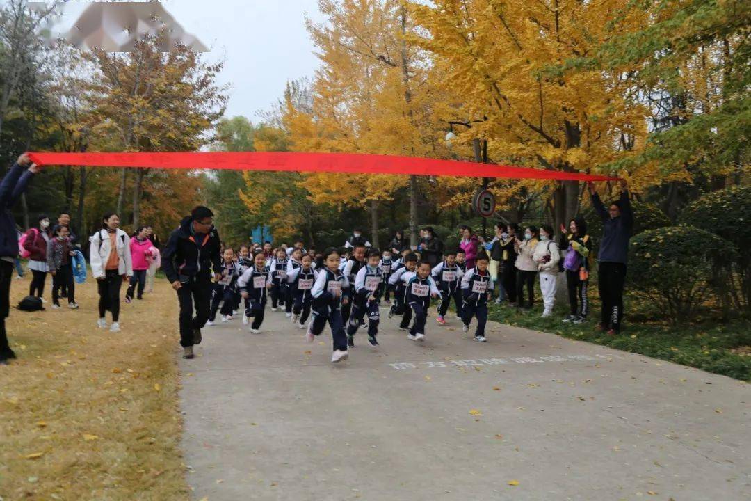 2020年最火的迷你主_2020年之前,我要成为尊贵的MINI车主!