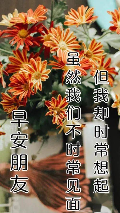 7张最漂亮的冬天早上好图片鲜花带字 最美冬天早安问候祝福语图片带字