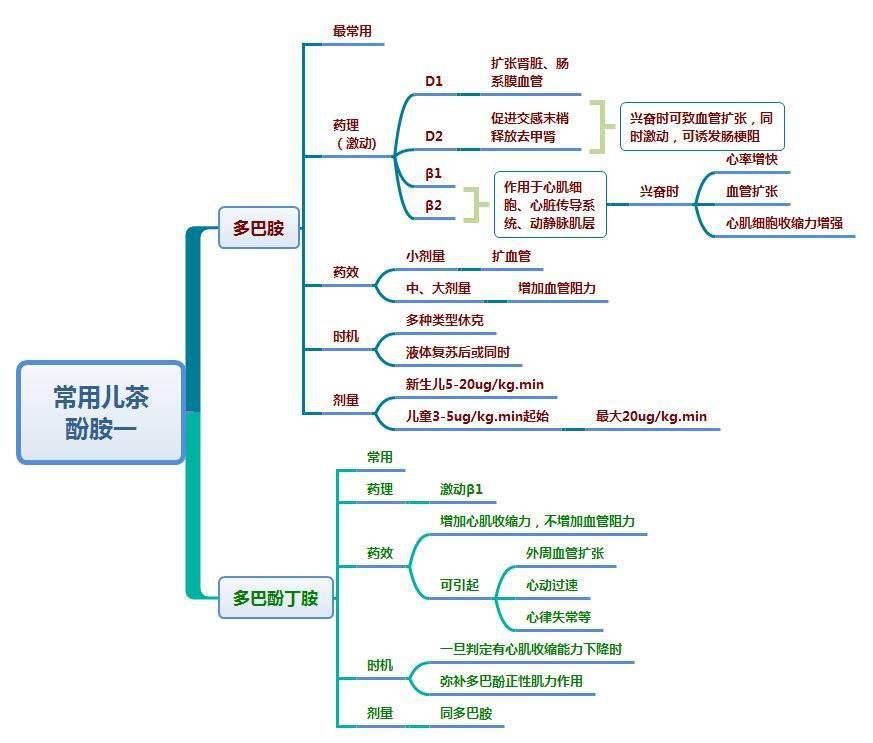 思维导图-各种休克与血管活性药物的使用