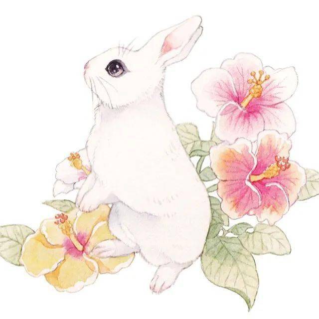 水彩插画丨日系清新漫画氛围 小兔子超可爱!