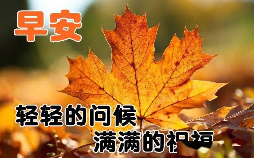 最新版非常漂亮的早上好表情图片 温馨早安心语语录