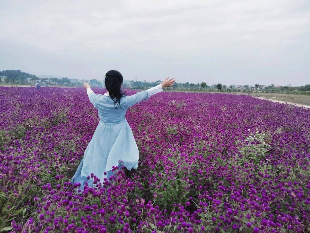 人间花海仙境!风景美如画!【仙眷花洲门票】11.1元!双11特惠!