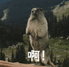 崩溃|换谁都崩溃吧？