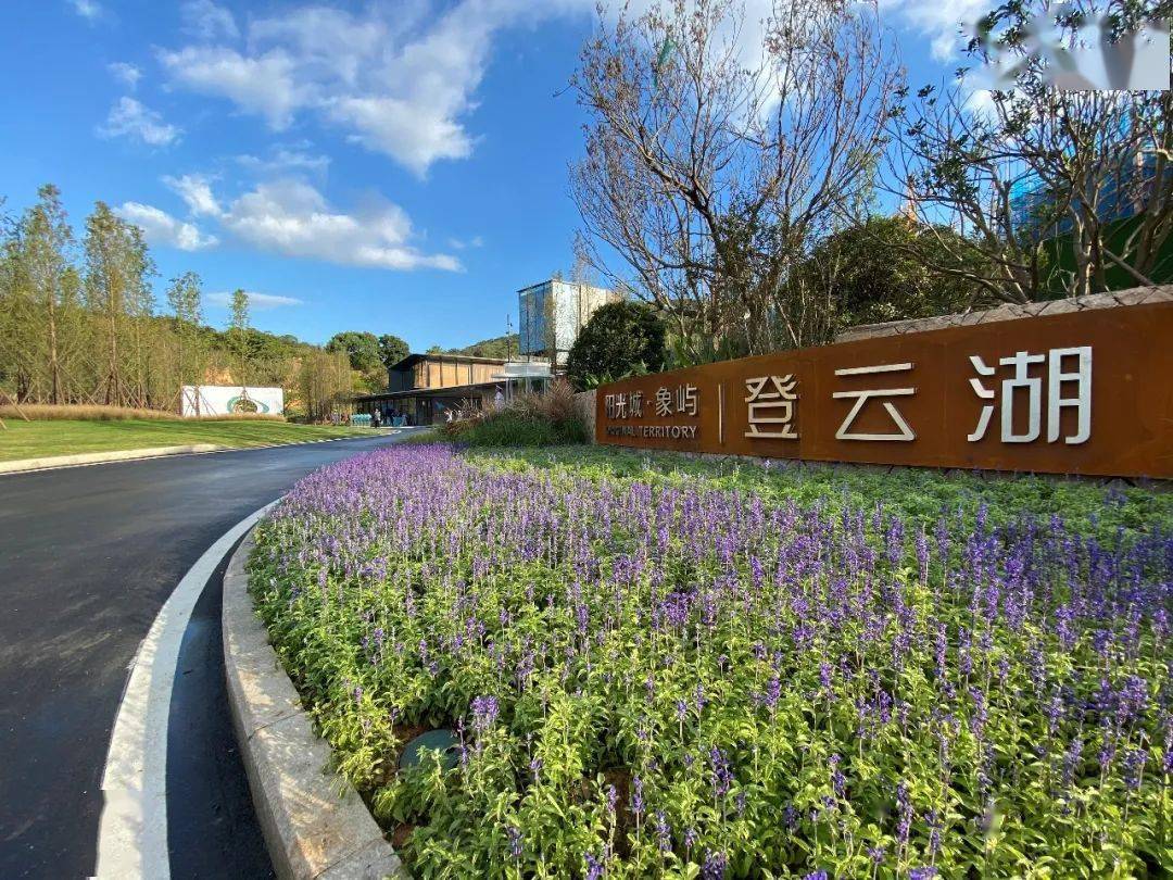 当红出圈揭秘流量背后的登云湖