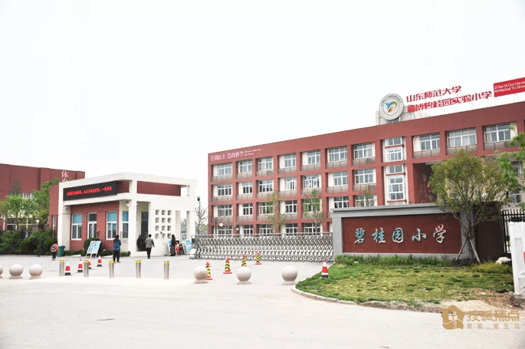 淄博有哪些高校大学 5d162394926e4b9ab107a5cb15031869.png