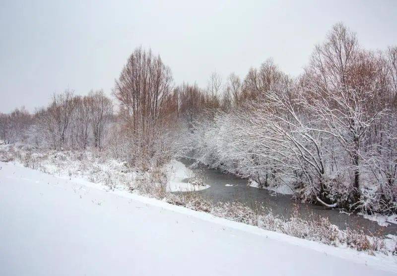 南来北往到大兴安岭听雪落下的声音