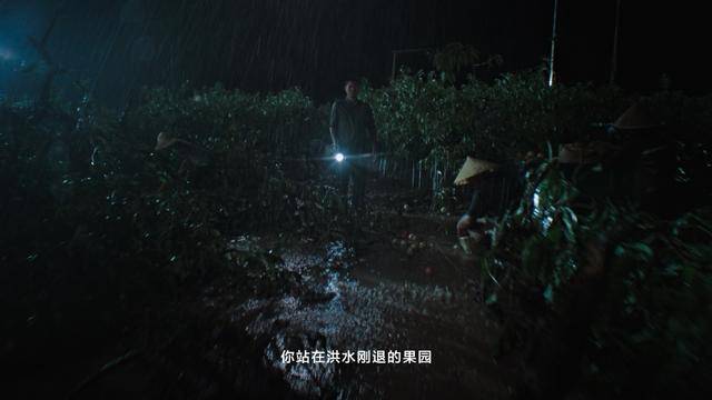 华为|《在一起就可以》说出华为心声 胡杨精神支撑华为克服阻碍