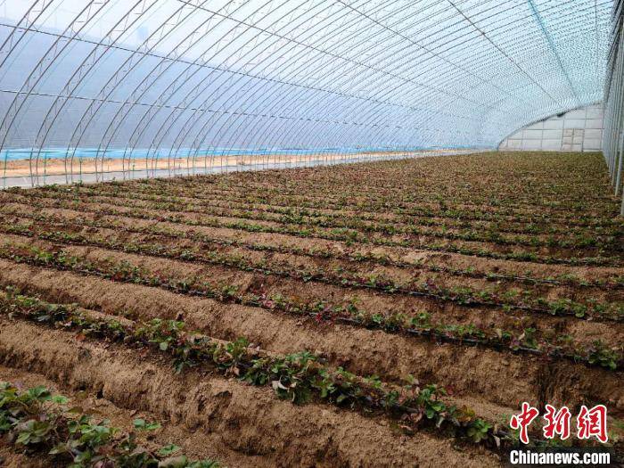 襄垣的gdp_襄垣东湖(3)