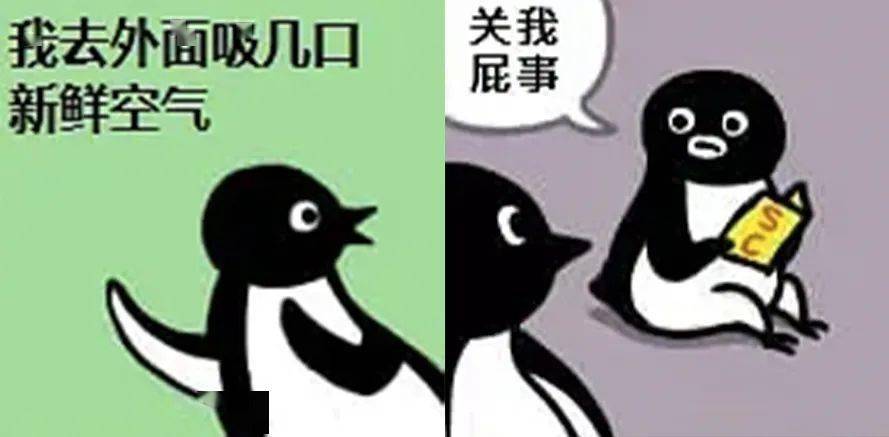 火遍国内互联网的沙雕企鹅，竟是日本吉祥物？