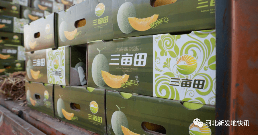 北京老六说他家的“三亩田”品牌将在河北高碑店市场生根、发芽