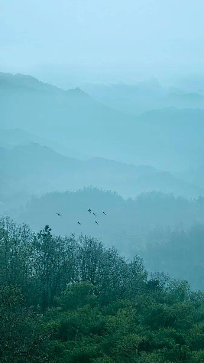 古琴|《半山听雨》一世荣华,不如半山听雨