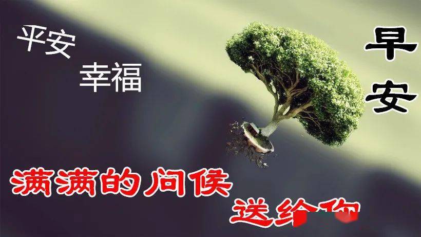 2020早安祝福语图片带字美图动态祝福,早上好的早安祝福语图片
