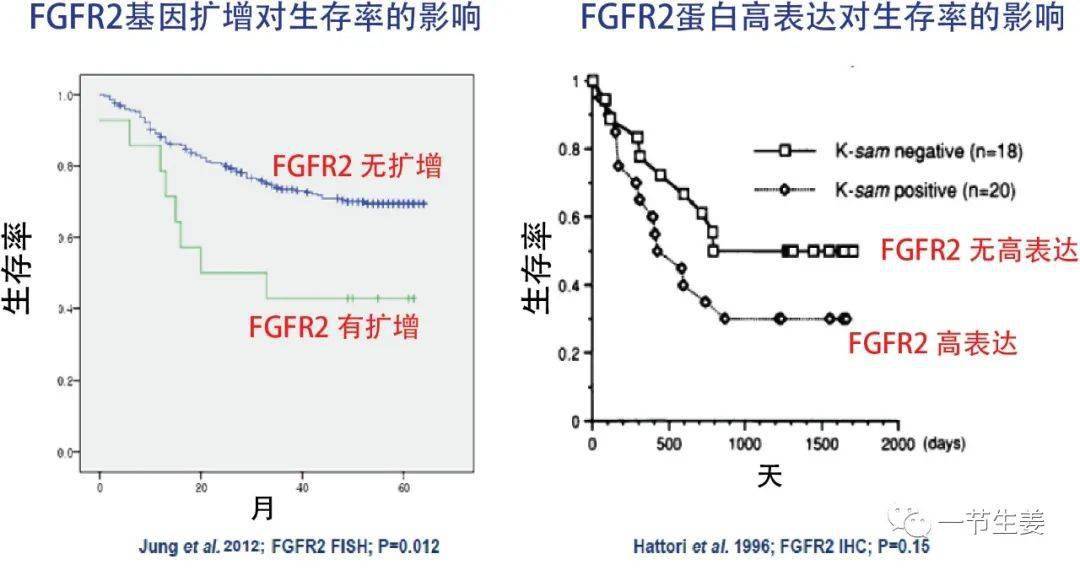 常规化疗gdp费用_这4点1步解决你的化疗困惑 患者