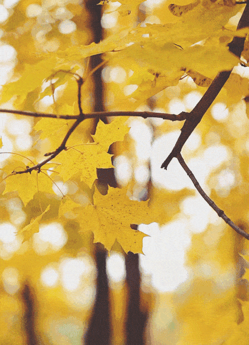 500_694 竖版 竖屏