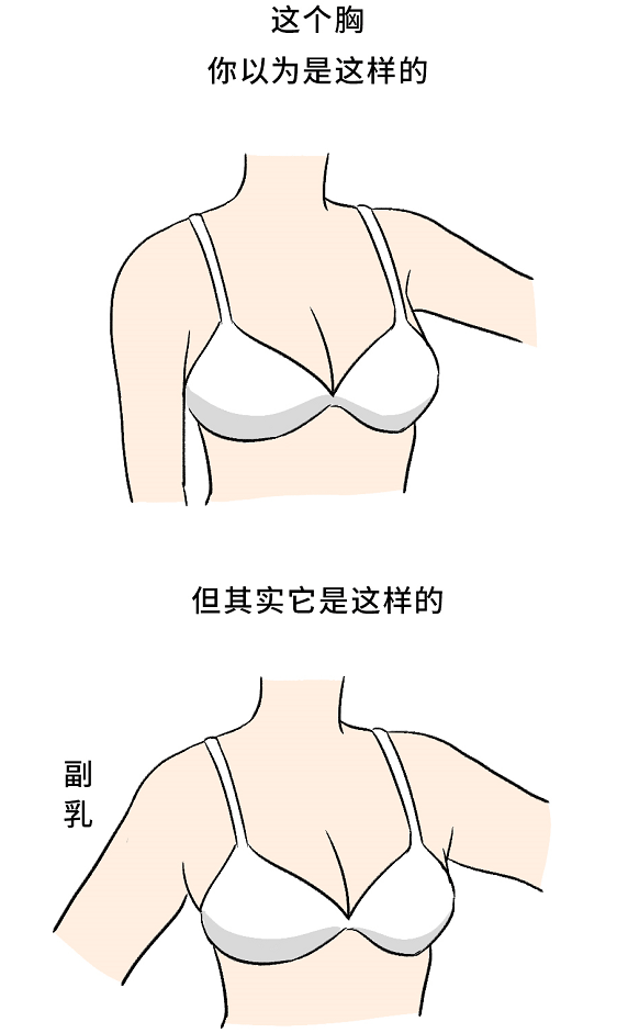 手臂|身体这个部位，男生怕它细，女生怕它粗.....