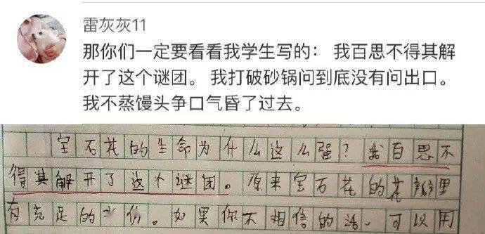 什么什么忘家成语_成语故事图片