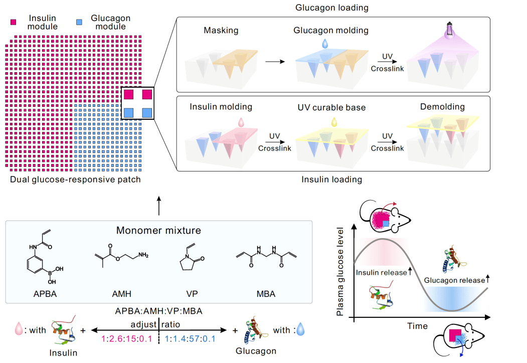胰岛素是什么颜色图片 11e9e2ce73d14033b2e9460604c5ac6b.png