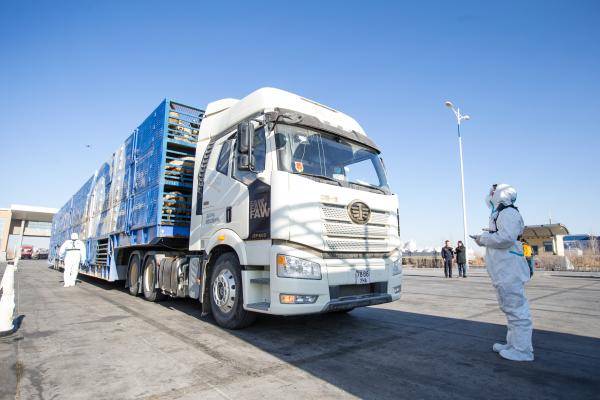 首批|3万只蒙古国捐赠羊，齐了！