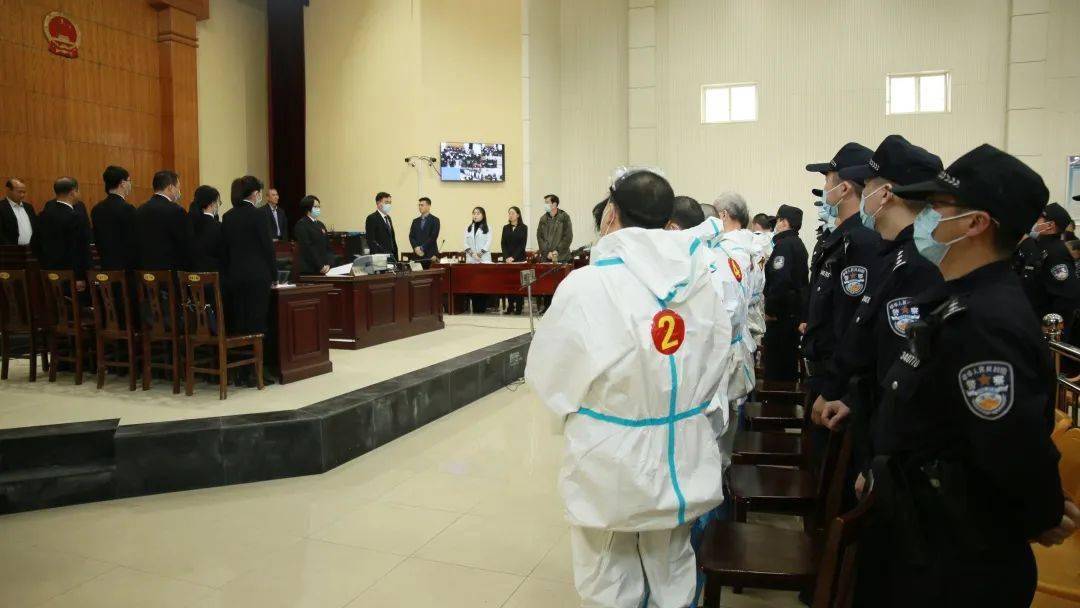 枞阳县人民法院一审公开宣判章孝求涉黑案