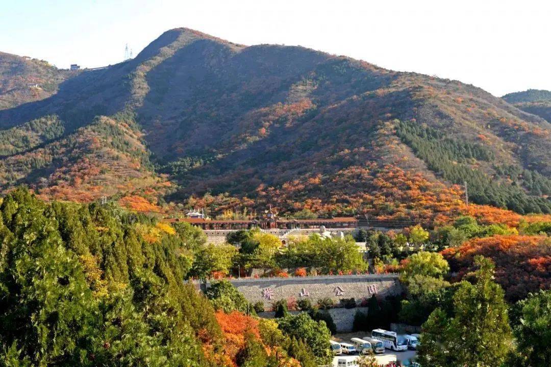 12月1日起,蟒山森林公园闭园休整