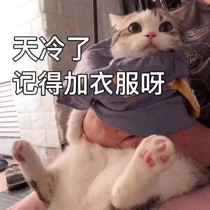 没钱吃饭_表情