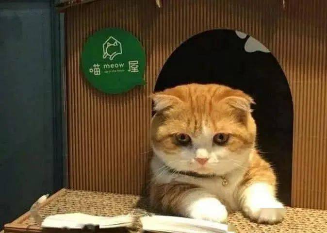 2f07abb4892b4713a29dc5cbd367ce79.jpeg