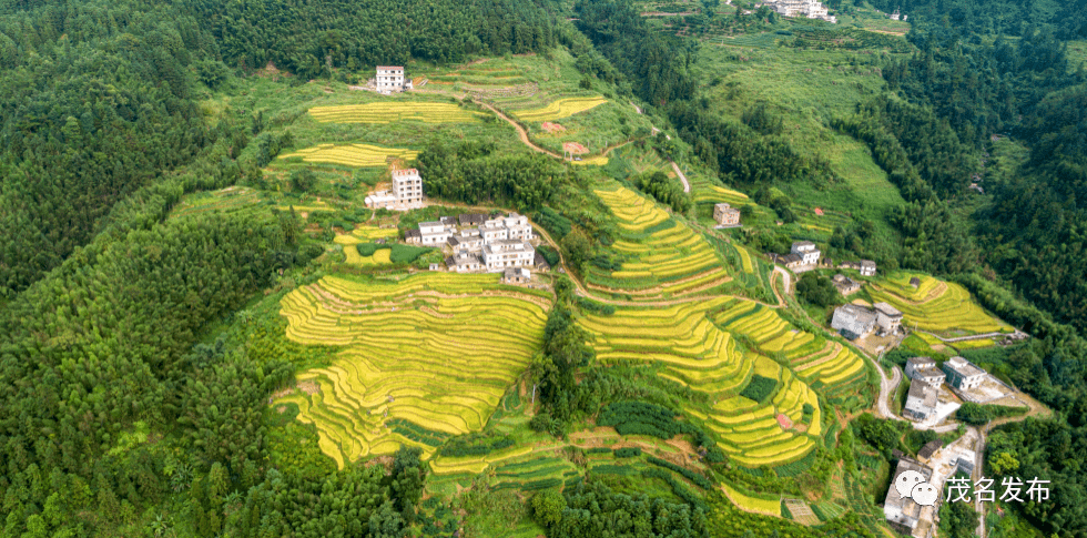 信宜这几个地方:秋色五彩斑斓!约起吗?