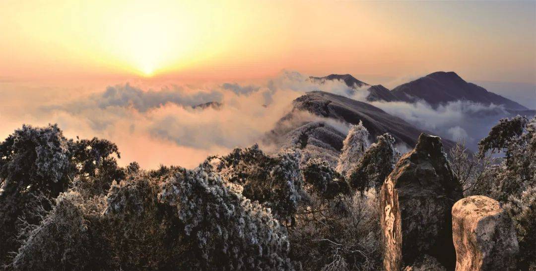 走进十大名山公园·天目山 | 流连绝顶