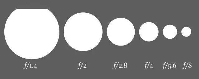 特点|详解5个焦段的24个特点,找到满意定焦头