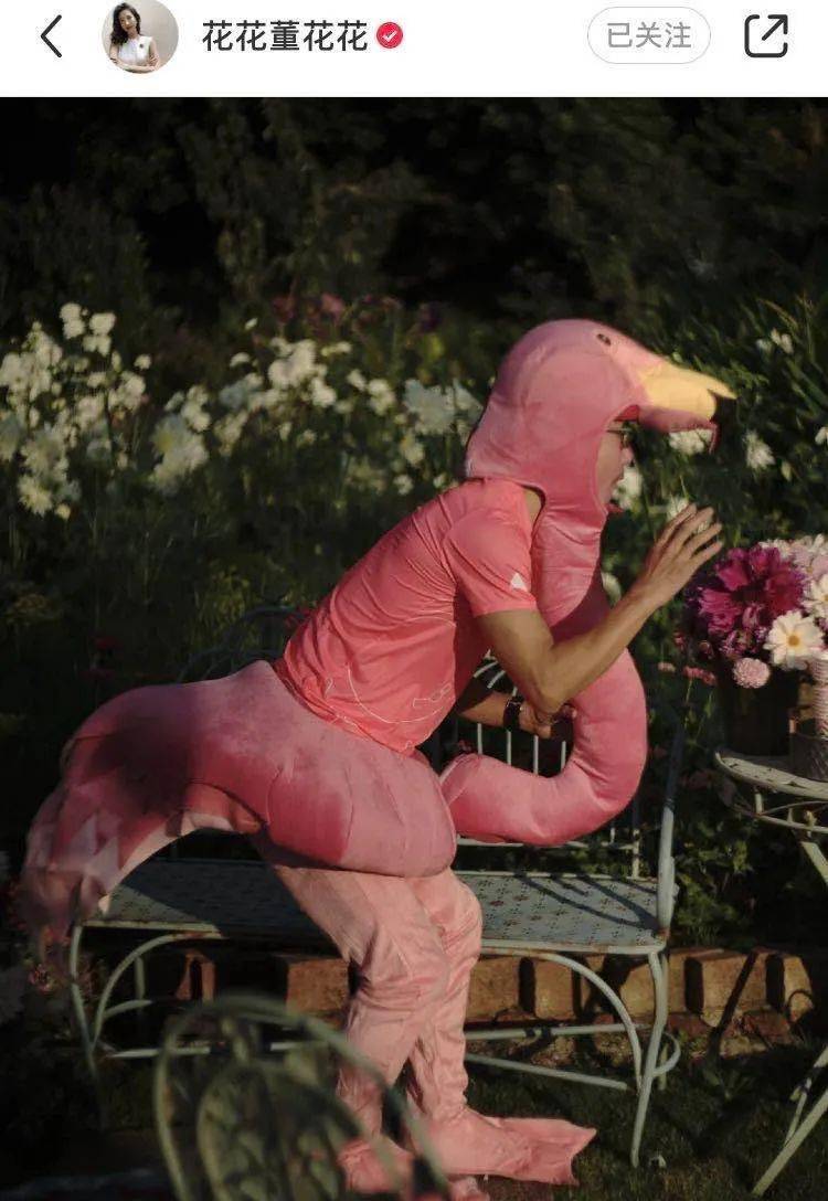 花花|董花花2.6万卖掉绝版LV包，这位顶级“全职太太”独立？