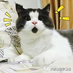 c1c0c759710f42328bbd6c51b13de0bc.jpeg