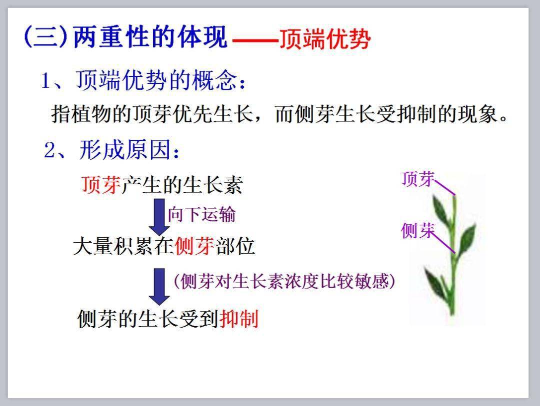 f95eb10c782348f895a9cb5719d19d9c.jpeg