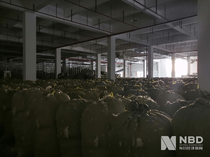 价格|投机者进场、上下游挤压羽绒行业今年坐上“过山车”