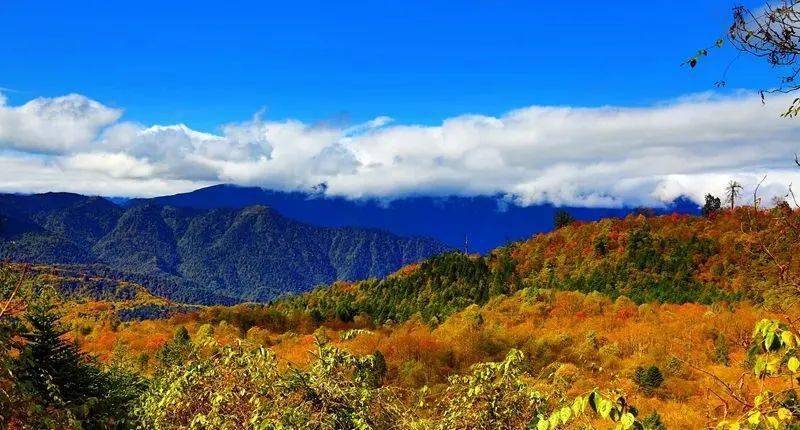 色彩从山顶倾泻下来 这里就是乐山市峨边彝族自治县 黑竹沟马里冷旧