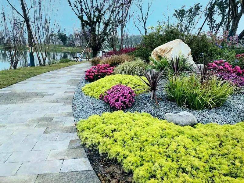 美翻了!东安湖公园"花境样板"