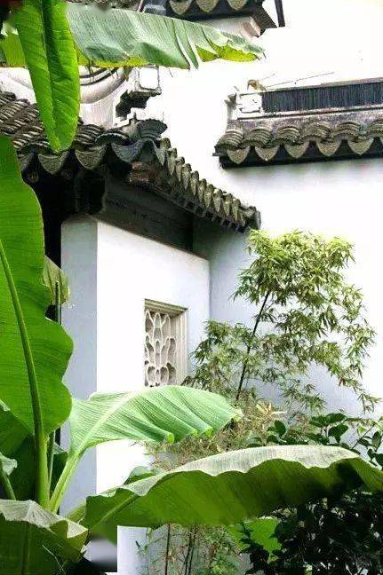 古典风格的庭院是如此的浪漫,雨打芭蕉,幽竹泉响这样的江南水乡庭院
