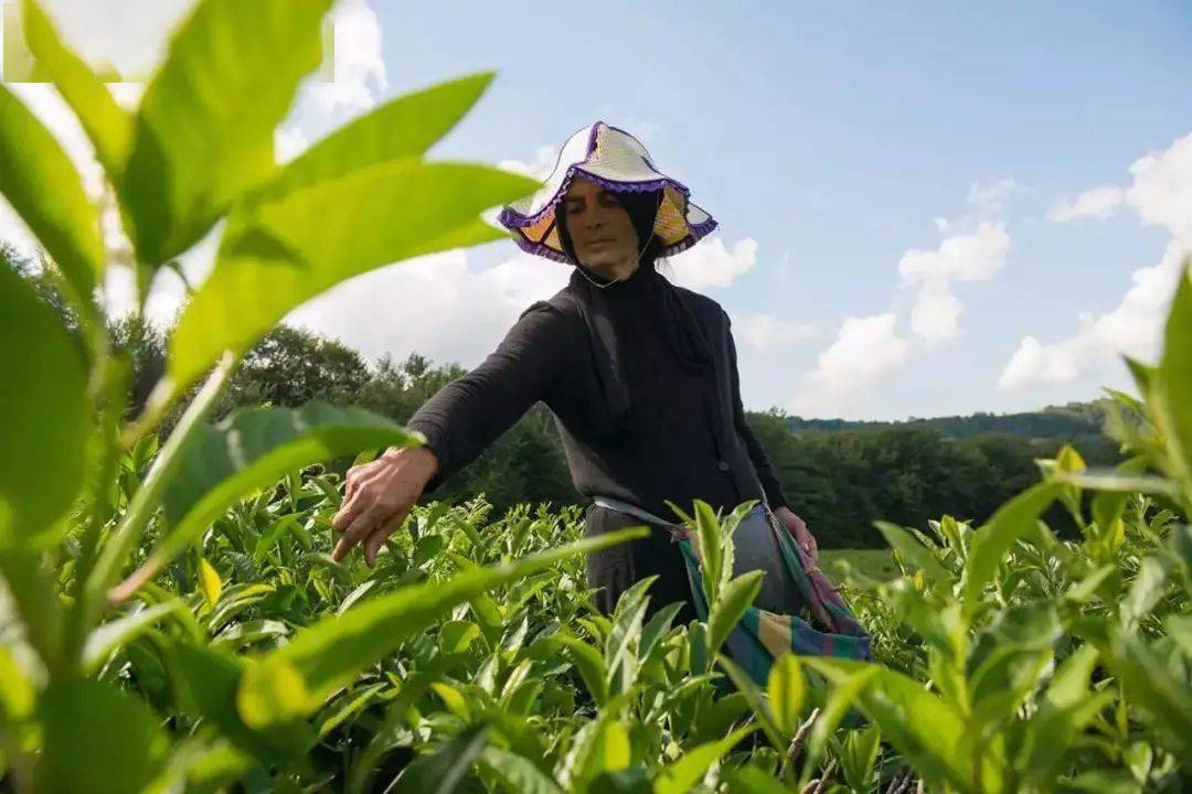 古筝高山流水曲谱原书(3)