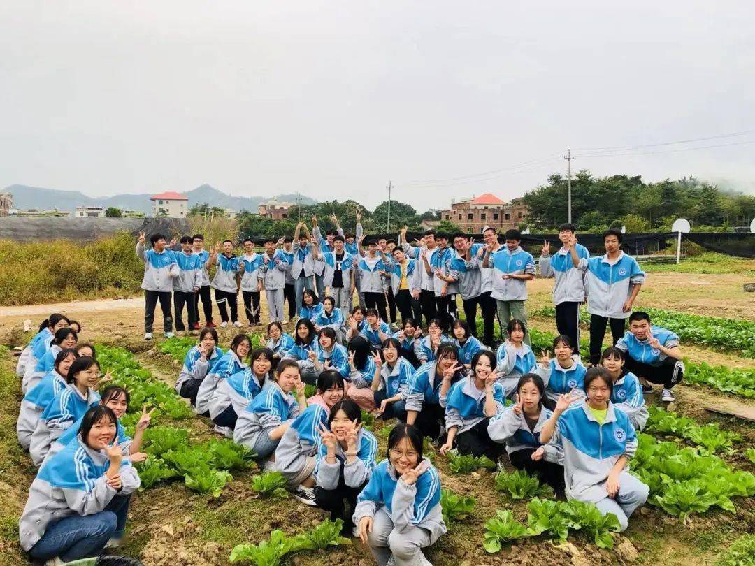 福建省漳浦第三中学高二年级东南花都研学实践活动|有