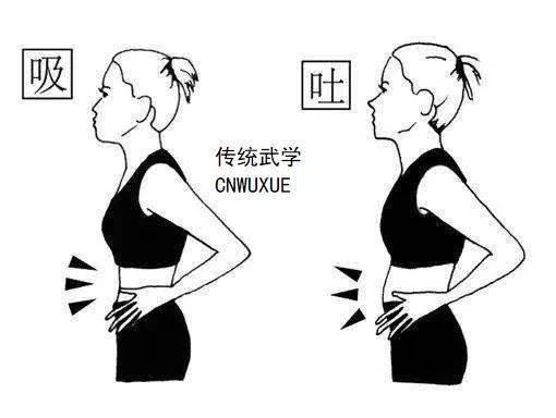 逆腹式呼吸_丹田