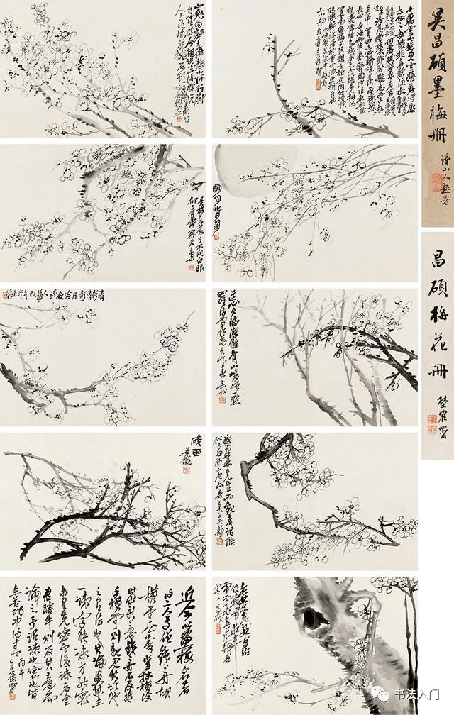 吴昌硕的墨梅，好清新_搜狐网