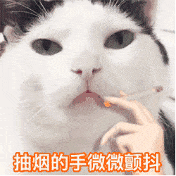 41b0b0de0eb24ced89933eab96af7405.gif